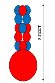 Funtastic Balloon Creations Inverted 2 Color On Point Column