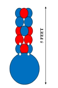 Funtastic Balloon Creations Inverted 2 Color On Point Column