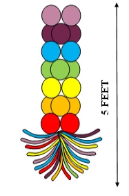 Funtastic Balloon Creations Decor Inverted Rainbow Column