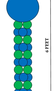 Funtastic Balloon Creations 2 Color Block Column