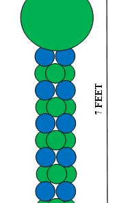 Funtastic Balloon Creations 2 Color Block Column