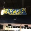 Funtastic Balloon Creations 500 Balloon Drop