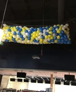 Funtastic Balloon Creations 500 Balloon Drop