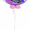 Funtastic Balloon Creations Birthday Pink Zebra Bubble (1 Bubble, 12 Latex)