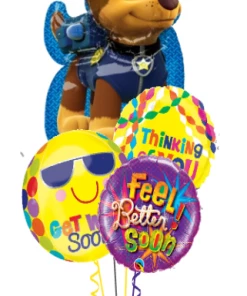 Funtastic Balloon Creations Chase Get Well Soon Bouquet (4 Foils)
