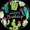 Funtastic Balloon Creations Single Foils Happy Birthday Cactus