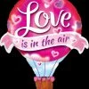 Funtastic Balloon Creations Single Foils Love Is In The Air